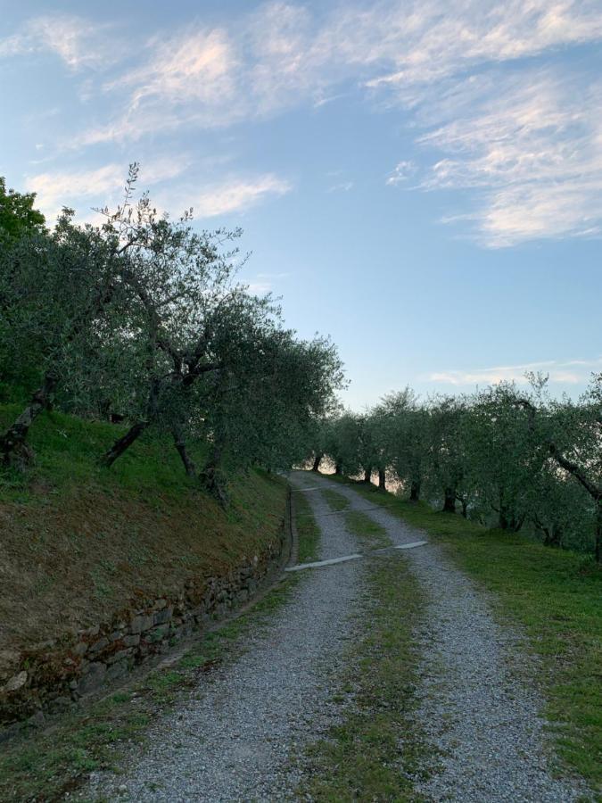 Marziani Rustic Tuscan House Capannori Εξωτερικό φωτογραφία