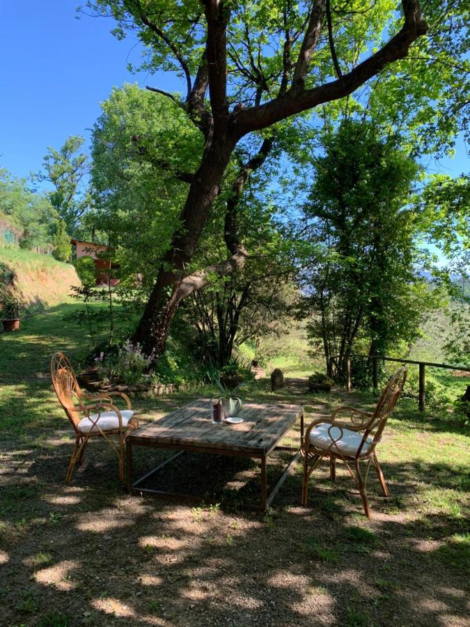 Marziani Rustic Tuscan House Capannori Εξωτερικό φωτογραφία